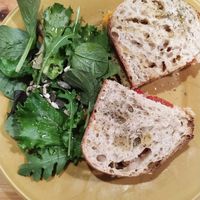 Tuna melt at Kind Kitchen in Porto