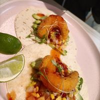 Tacos de gambas at Kind Kitchen in Porto