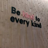 Kind words at Kind Kitchen in Porto