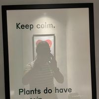   at Kind Kitchen in Porto