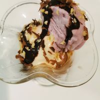 Ice Cream Mix at The Vegan in Colombo