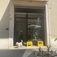 Sweet dog  at Estratto in Brescia