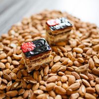 opera cake  at Foody lohas Cafe in Ulaanbaatar