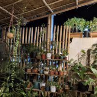  at Ima's Vegetarian Restaurant in Puerto Princesa