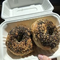 Vegan everything bagels at North End Coffeehouse in Yuma