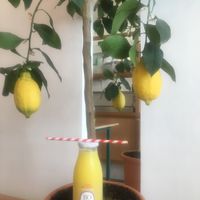 L’eau de coco at Bojus in Paris