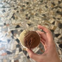   at Gelateria Galliera 49 in Bologna