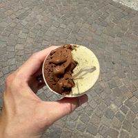   at Gelateria Galliera 49 in Bologna