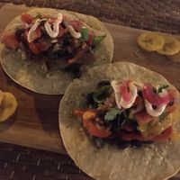 vegan tacos at Cafè Saüc in Mallorca