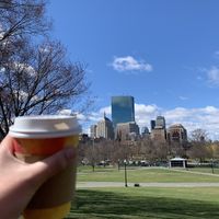 Organic drip coffee  at Life Alive Organic Cafe - Back Bay - Boylston St in Boston