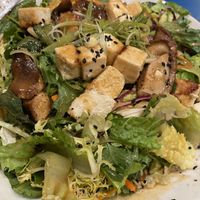 Shiitake and tofu bowl   at Life Alive Organic Cafe - Back Bay - Boylston St in Boston