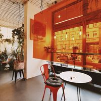  at OFOF Cafebar in Offenbach