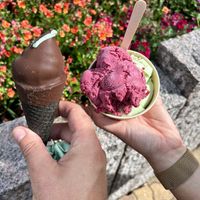 Mint choc Ice cream and sorbet  at Legoland Resort in Billund