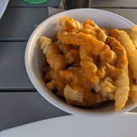 Regular frozen crinkle cut fries and awful cheeze sauce at Green Culture in New Port Richey
