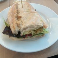 Vegan sandwich at Suc de Lluna BioCafe in Valencia