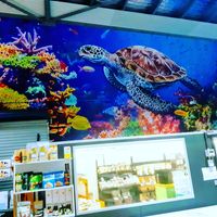 New beautiful muriel at The Healthy Hub Cafe in Cairns