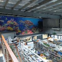 Overview at The Healthy Hub Cafe in Cairns