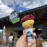 Johannisbeere & Mango - Fruchteissorten sind Vegan  at Eisgreissler Manufaktur in Krumbach