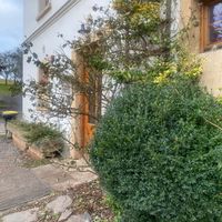  at Villa Greta in Swierzawa