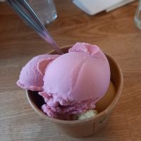 Vegan ice cream (strawberry and pineapple) at Mommark Marina in Sydals