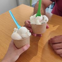 El vegano es el de la cuchara azul. De banana y paraguayo at Holy Cow in Leon