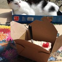  at Mahalo in Groningen