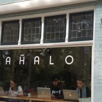 Beautiful location, beautiful food! at Mahalo in Groningen