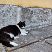  at Good Mood Food in Kuressaare