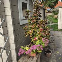 Outside at Good Mood Food in Kuressaare