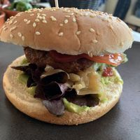 Treibholz  at TreibHolz in Utersum Auf Foehr