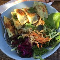 Noodle Satay Vegan Dumpling Bowl at Joe Dumpling in Adelaide