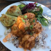 Crispy Cauliflower Vegan Dumpling Plate at Joe Dumpling in Adelaide