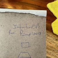 Thanks painapol for your Perfect vegan smoothies   at Painapol in Holbox