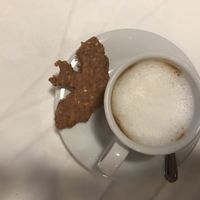 Brazilskà arabica  at Pilgrim in Brno