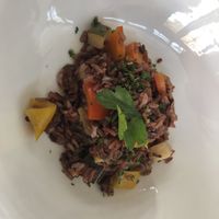   at Lacroma in Dubrovnik