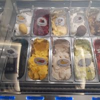 The sorbet kinds at Gelato Artigianali in Rome