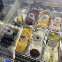 Vegan options at Gelato Artigianali in Rome
