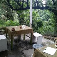The terrace at Seed Organic Cafe in Bashisht