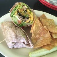 Vegan wrap with mustard  at Cyber Cafe West in Binghamton