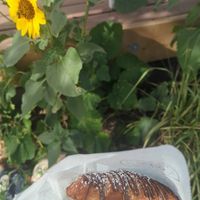 Vegan chocolate croissant at Canela in Calgary