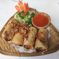 Springrolls at Thong Thai in Wemeldinge