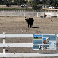   at Charlie's Acres Farm Animal Sanctuary in Sonoma