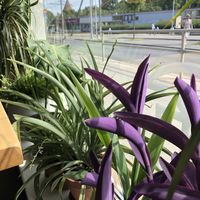 View at Rohe in Tallinn