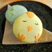 Macarons at Rohe in Tallinn