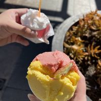 yum!  #Veganuary at Milkissimo Gelato in San Diego