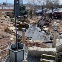 Their pond with a Bean Street sign at The Pink Bean in Somerset