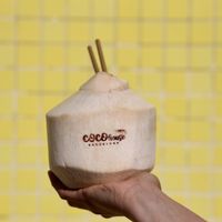 Fresh Coconuts at Coco House in Barcelona