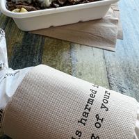 All vegan at Staazi & Co in Adelaide