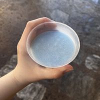   at Disneyland - Milk Stand in Anaheim