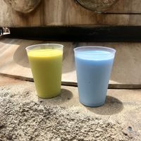 Blue & Green Milks at Galaxy’s Edge at Disneyland - Milk Stand in Anaheim